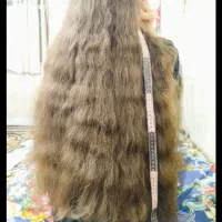 فروش و خریدار مو طبیعی|آرایشی، بهداشتی، درمانی|هشتگرد, هشتگرد قدیم|دیوار