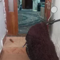 اجاره آپارتمان ۷۰ متری ۱ خوابه همکف در کوی ولیعصر|اجارهٔ آپارتمان|مشهد, کوی ولیعصر|دیوار