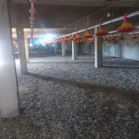 کوت مرغ|فعالیت داوطلبانه|خرمشهر, |دیوار