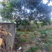 فروش-ویلا-در-رامسر