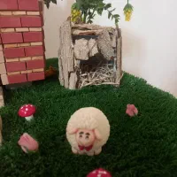 کاردستی برای بچه های|اسباب‌‌بازی|یزد, |دیوار