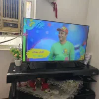 تلویزیون و یخچال در حد