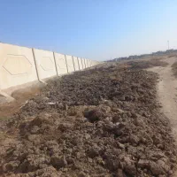 بار گاو|خدمات باغبانی و درختکاری|نیشابور, شهرک رضوی|دیوار