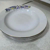 بشقاب چینی غذا خوری