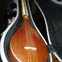 سه تار حسینی (همراه با هاردکیس)