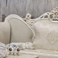 گربه اسکاتیش پرشین