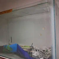 آکواریم