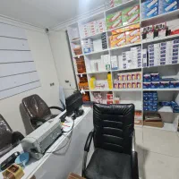 حسابدار با سابقه خانم|استخدام مالی، حسابداری، حقوقی|مشهد, آیت الله خامنهای|دیوار