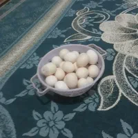 تخم مرغ|خوردنی و آشامیدنی|شوشتر, |دیوار