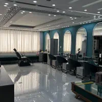 نیرو حرفه ای سالن