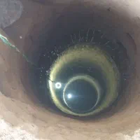 چاه کن|خدمات پیشه و مهارت|بجنورد, |دیوار