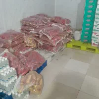نیرو کار در قاین