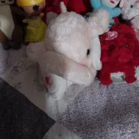 عروسک|اسباب‌بازی بچه|مشهد, هنرستان|دیوار