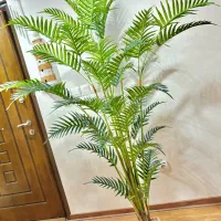 گیاه درخت نخل اریکا شامادورا دو متری|گل مصنوعی|تهران, آبشار تهران (دریاچه)|دیوار