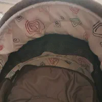 کالسکه دلیجان|کالسکه و لوازم جانبی|بروجرد, |دیوار