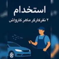 نیروی کار کارواش حرفه ای