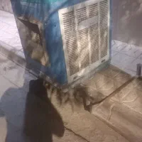 کولرآبی