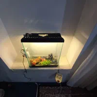 آکواریوم ۵۰ در ارتفاع ۵۰