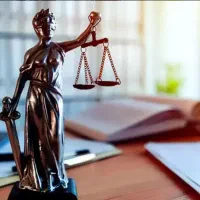 وکیل دادگستری - مشاور حقوقی کارخانجات گمرک تعزیرات