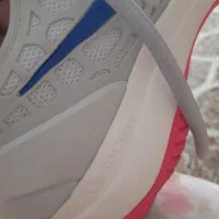 کفش Nike ارژینال اصل|کیف، کفش، کمربند|شیراز, خلدبرین|دیوار