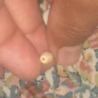 سنگ زیبا سوراخی|کلکسیون اشیاء عتیقه|زاهدان, |دیوار