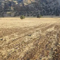 زمین کشاورزی|فروش دفتر صنعتی، کشاورزی، تجاری|ایذه, |دیوار