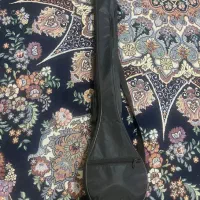 سه تار سالم و تمیز