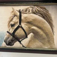 تابلو فرش ماشینی|تابلو فرش|قم, شاه سید علی|دیوار