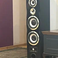 اسپیکر ایستاده Proxima XP-528K نیاز به تعمیر|سیستم صوتی خانگی|کرج, فاز ۱ مهرشهر|دیوار