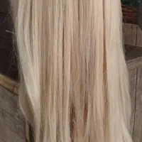 کله مانکن|آرایشگاه و سالن‌های زیبایی|آشخانه, |دیوار