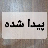 پیدا شده