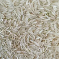 برنج عنبر بو و ضیغمی