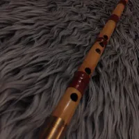 ساز نی|سازهای بادی|تهران, زهتابی|دیوار