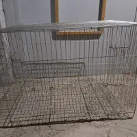 قفس پرنده