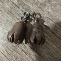 زنگوله