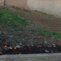 زمین|فروش زمین و ملک کلنگی|کردکوی, |دیوار