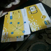 ارائه خط فعال و خشک باضمانت