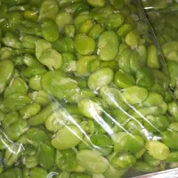 باقالی سبز