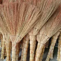 جارودستی