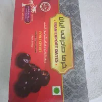 پخش عمده خرما