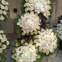 تاج گل های ترحیم و تبریک