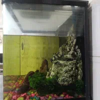 فروش اکواریوم