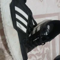 کفش بچه گانه پسرانه|کفش و لباس بچه|شیراز, شریف‌آباد|دیوار