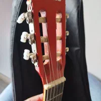 گیتار clariss|گیتار، بیس، امپلیفایر|دزفول, |دیوار