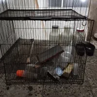 قفس همه رغم|لوازم جانبی حیوانات|قم, ولیعصر|دیوار