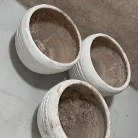 فروش گلدان|گل و گیاه طبیعی|شیراز, کوشک میدان|دیوار