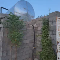 باغ با درختان بزرگ|فروش زمین و ملک کلنگی|مشهد, درزآب|دیوار