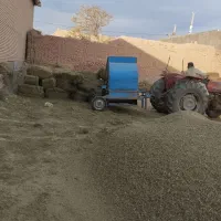 کاه بیده.کاه یونجه درجه یک