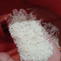 برنج هاشمی ۵۰ گونی