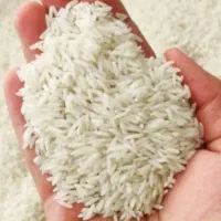 برنج هاشمی درجه یک آستانه